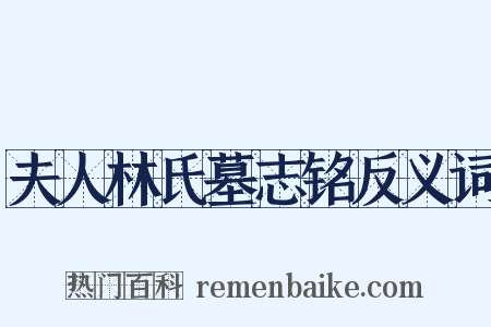 夫人林氏墓志铭反义词是什么意思的图片